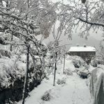Maltempo e neve in Liguria: primi fiocchi bianchi nell’entroterra, già 11 cm al Monte Settepani [FOTO]