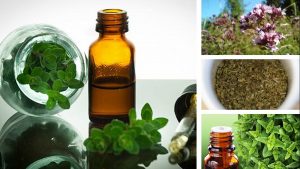 i benefici dell'origano, abbassa il colesterolo e regola la glicemia