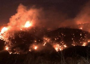 incendi libano