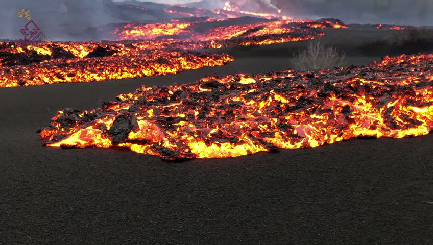 la palma