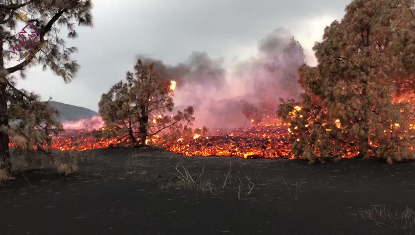 la palma