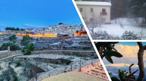 neve gargano