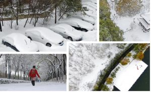 neve cina