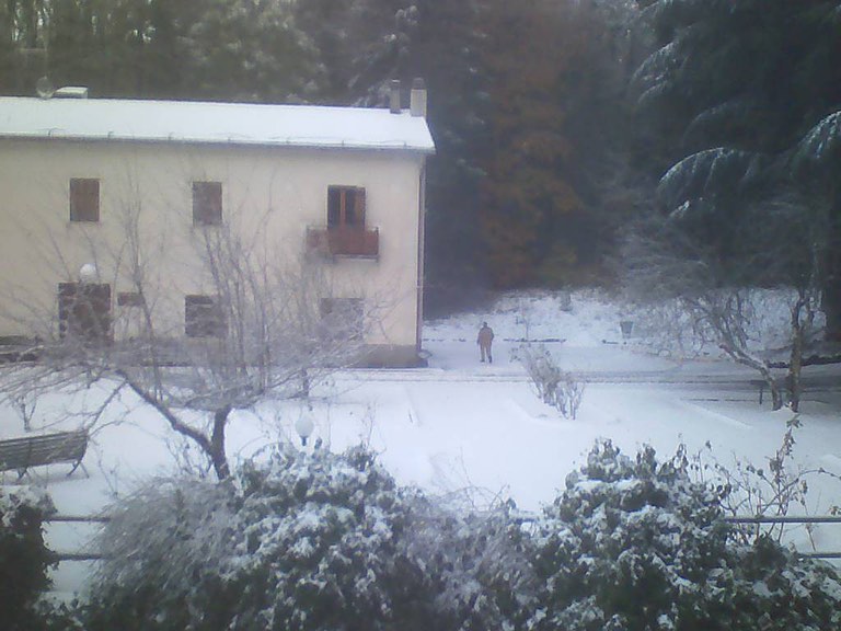 neve gargano