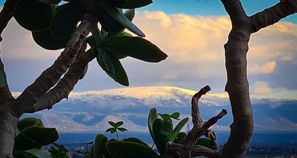 neve gargano