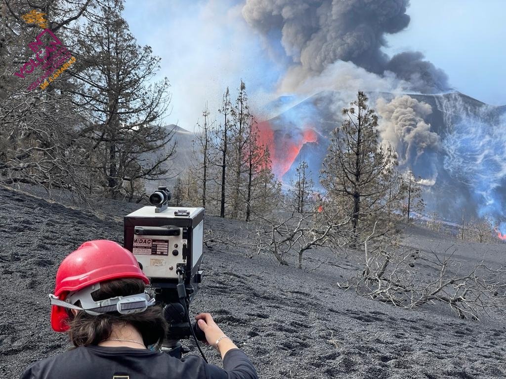 nuove bocche la palma