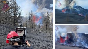 nuove bocche la palma
