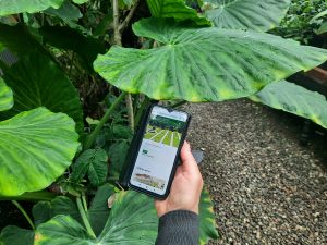 orto botanico pisa