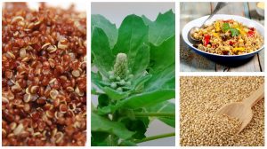 quinoa
