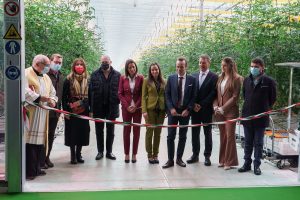 serre hi-tech