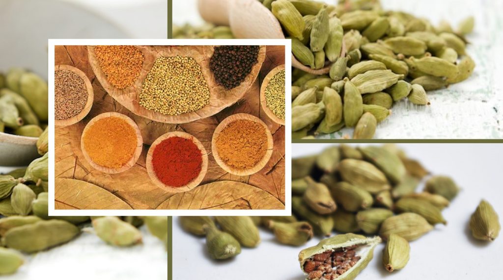 cardamomo spezia antinfiammatoria dimagrire