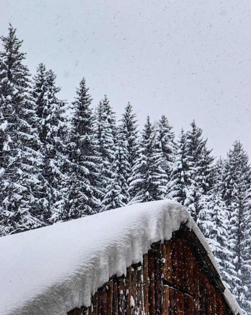neve serbia