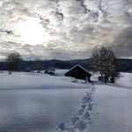 Maltempo Veneto: ad Asiago i fiocchi continuano a cadere, almeno 30 cm di neve fresca [FOTO]
