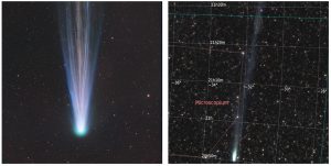 cometa leonard