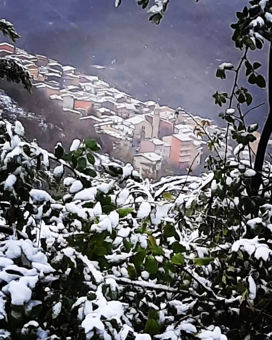 Desulo Maltempo, torna la neve sui rilievi della Sardegna: imbiancate Fonni e ...