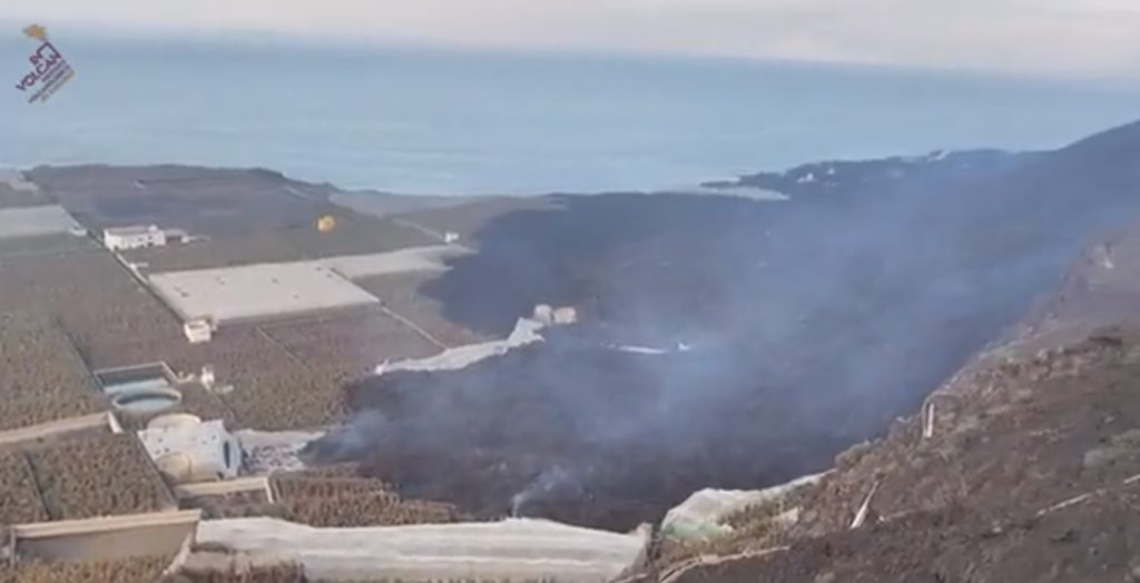 eruzione la palma