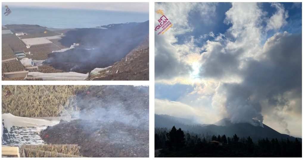 eruzione la palma