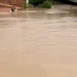 Brasile, devastanti inondazioni e frane hanno sommerso ampie aree nello stato di Bahia: vittime e tanti danni – FOTO e VIDEO