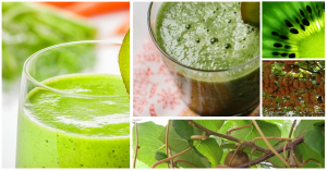 frutto antinfiammatorio kiwi