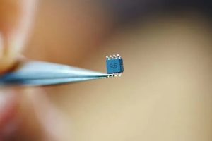microchip
