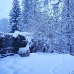 Maltempo, paesaggi incantati in Valle d’Aosta: tanta neve fresca oggi ricopre Courmayeur [FOTO e VIDEO]