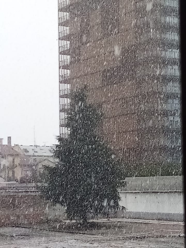 neve a Milano 10 Dicembre (1)