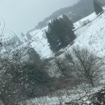 Maltempo in Veneto: paesaggi incantevoli ad Asiago, nevica sull’intero Altopiano dei Sette Comuni [FOTO]