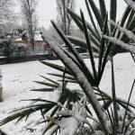 La neve ricopre il Piemonte nel giorno dell’Immacolata: imbiancate anche Cuneo, Novara e Alessandria – FOTO e VIDEO