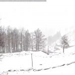 Maltempo, neve in pianura in Emilia Romagna: imbiancata Piacenza, fiocchi anche a Reggio Emilia – FOTO e VIDEO