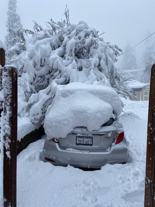 neve nevada