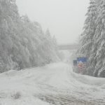 Maltempo in Calabria, bufere di neve in Sila: altopiano sommerso, traffico in tilt. FOTO e VIDEO