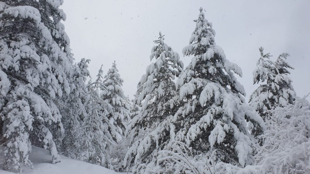 neve sila 11 dicembre 2021