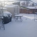 Maltempo, tempesta di neve sull’Ovest degli USA: in migliaia senza elettricità – FOTO