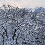 Maltempo e freddo in Molise: tanta neve tra Isernia e Campobasso [FOTO]