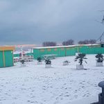 Maltempo, tanta neve in Emilia-Romagna: imbiancata anche Rimini, i fiocchi ricoprono le spiagge [FOTO e VIDEO]