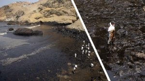 disastro ecologico perù