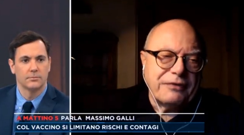 galli