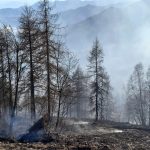 Numerosi incendi in Piemonte: situazione anomala per fine gennaio favorita dai forti venti di foehn – FOTO