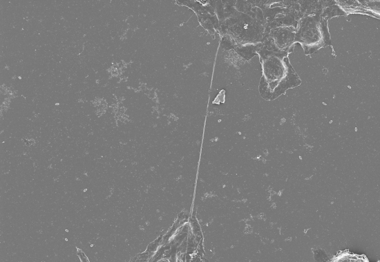 nanofili