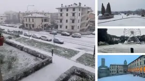 neve arezzo