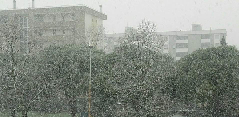 neve fiocchi generica