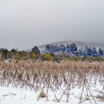 Gambarie, è un lunedì di gelo e neve in Aspromonte: le FOTO in diretta