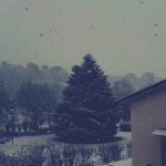 Maltempo, oggi Emilia-Romagna imbiancata dalla neve: la Dama Bianca ammanta Imola e Forlì, fiocchi a Bologna [FOTO]