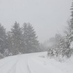 Meteo, forte nevicata sui versanti della Sila esposti ad est: le FOTO in diretta