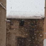 Meteo, forte nevicata sui versanti della Sila esposti ad est: le FOTO in diretta
