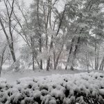Meteo USA, tempesta di neve su Washington D.C.: chiusi uffici e scuole, voli cancellati – FOTO