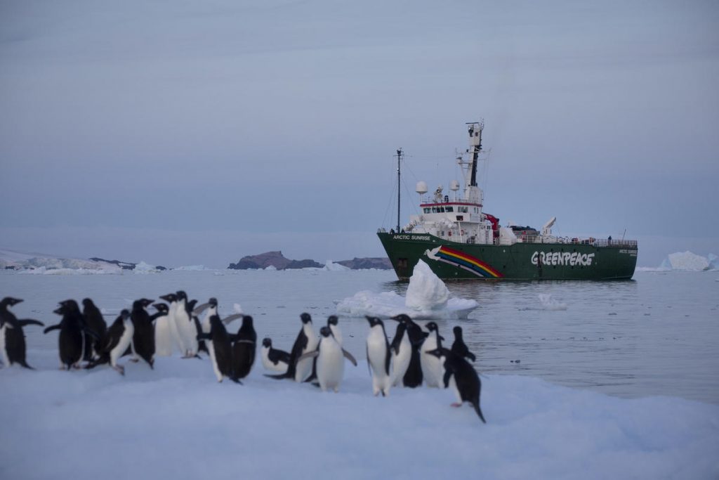 pinguini greenpeace