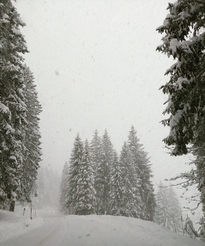 Asiago
