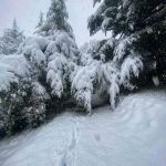 Allerta Meteo, ciclone polare al Sud: bufere di neve fino a bassa quota, inizia una notte da lupi dalle Marche alla Sicilia – LIVE