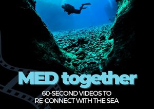 MED together